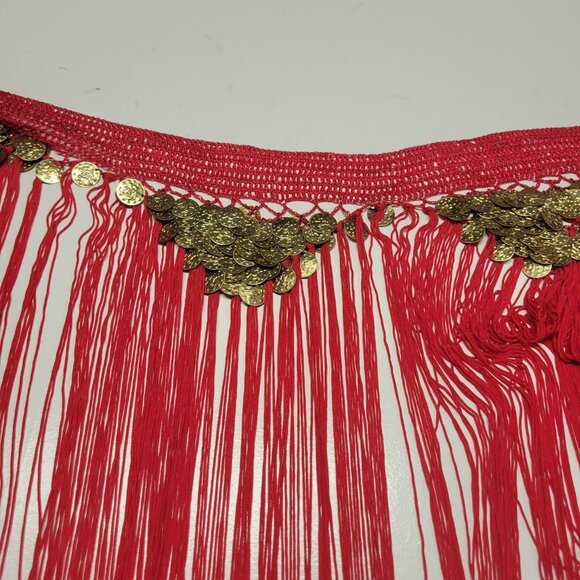 Hip Skirt Belly Dance Tassels Fringe Skirt Bellydance Coins and Fringe Hip Scarf - Picture 4 of 13